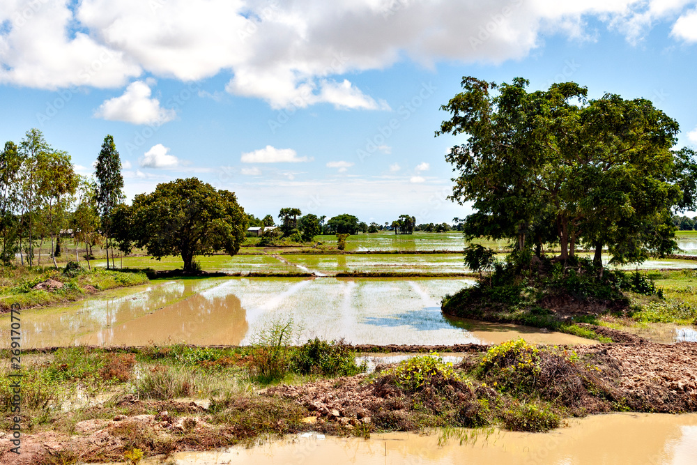 Fototapeta premium View of rural areas in Cambodia