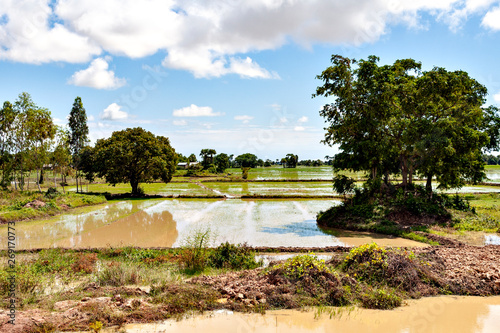 View of rural areas in Cambodia