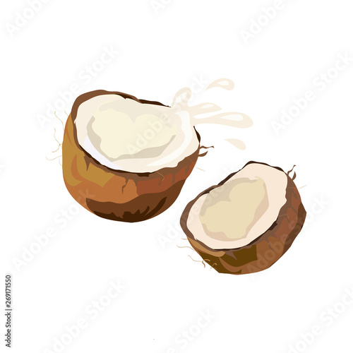 coconut broken halves isolated