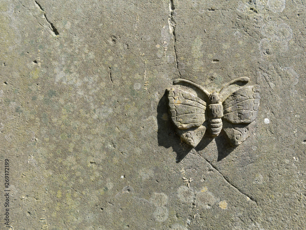 der Schmetterling in Stein gemeißelt als Symbol für die Seele der Schmetterling in Stein gemeißelt als Symbol für die Seele