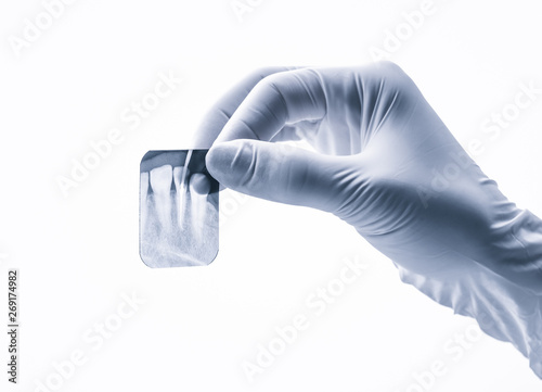 Closeup of hand in white glove holding small dental x-ray isolated on white background photo