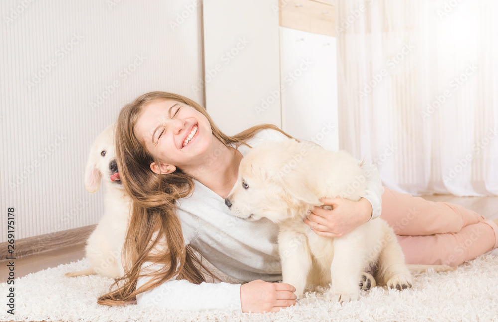 Little girl sit hugging cute fluffy retriever puppies on carpet Little girl sit hugging cute fluffy retriever puppies on carpet