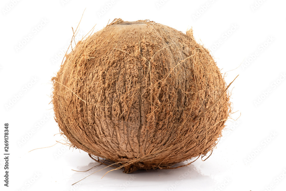 coconut isolated on white background coconut isolated on white background