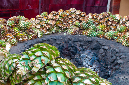 Baking blue agave hearts in ground oven pit, tequila factory