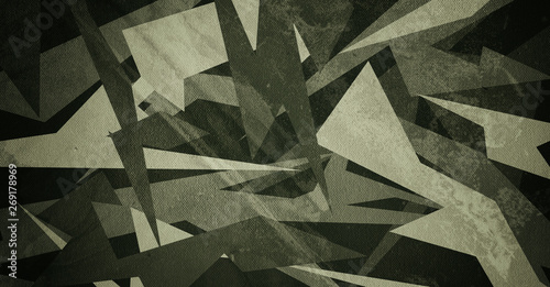 Camouflage cloth texture. Abstract background and texture for design.