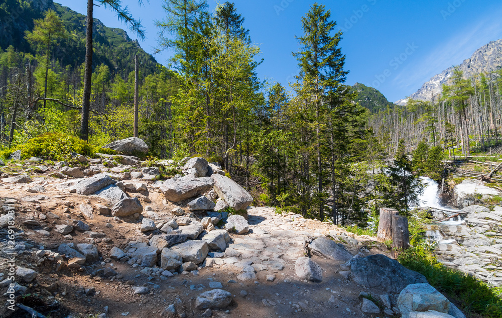 High Tatra mountains in Slovakia. Summer season. High Tatra mountains in Slovakia. Summer season.