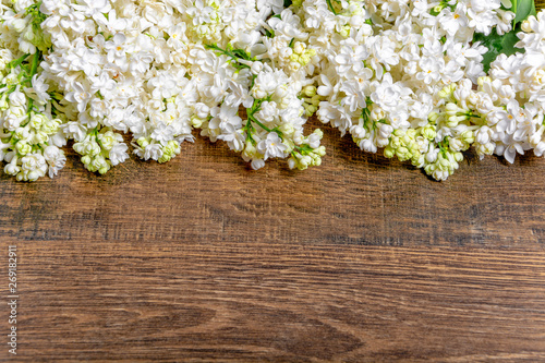 Spring background. The branches of white lilac on a dark wooden background. Flat Lay, Copy Space, Space for Text.
