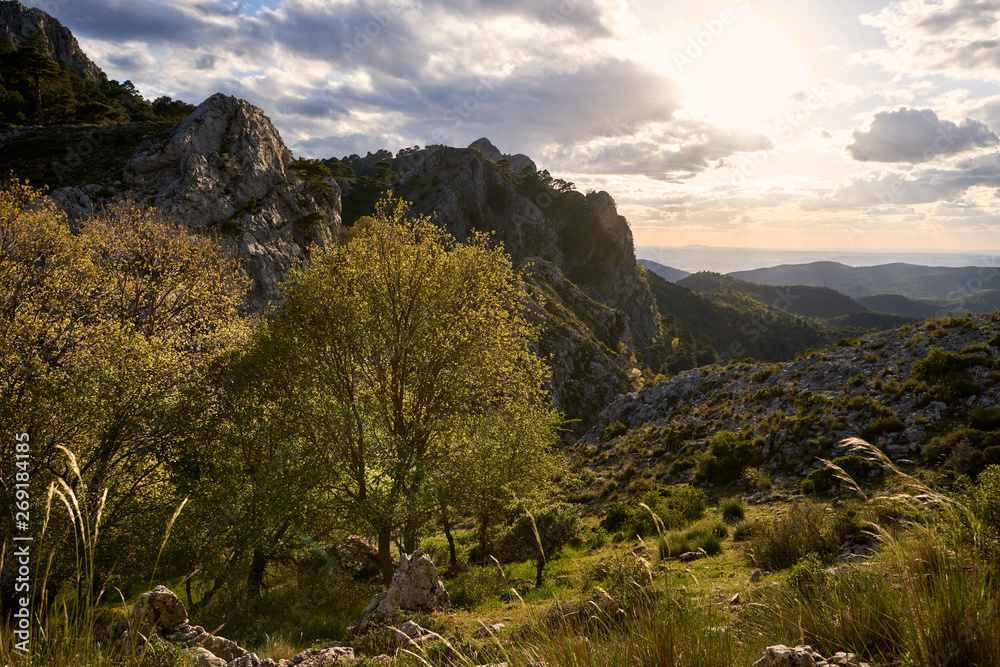Naklejka premium mountain valley at sunset with cloudy sky