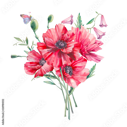 Hand painted floral composition. Watercolor botanical illustration of poppy flowers and leaves. Natural objects isolated on white background