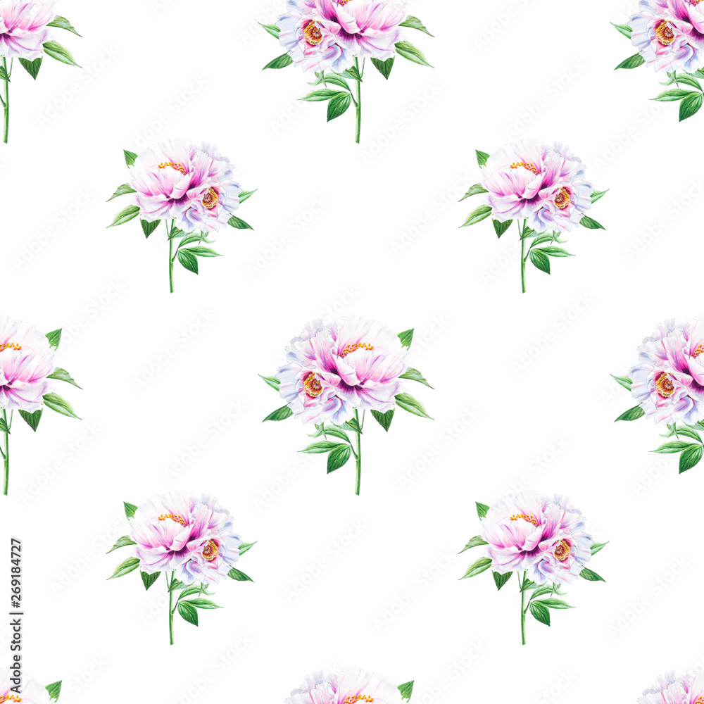 Beautiful white peony seamless pattern. Bouquet of flowers. Floral texture. Marker drawing. Watercolor painting. Wedding and birthday composition. Flower painted background. Hand drawn illustration. Beautiful white peony seamless pattern. Bouquet of flowers. Floral texture. Marker drawing. Watercolor painting. Wedding and birthday composition. Flower painted background. Hand drawn illustration.