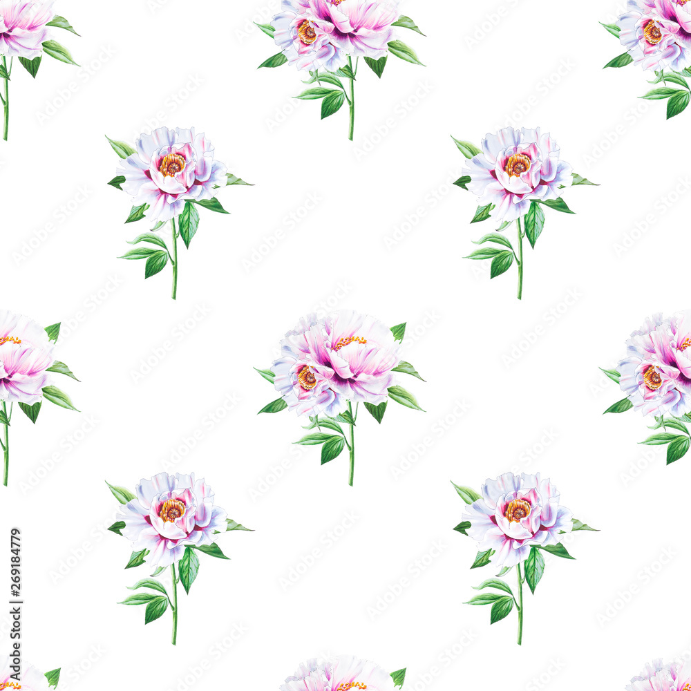 Beautiful white peony seamless pattern. Bouquet of flowers. Floral texture. Marker drawing. Watercolor painting. Wedding and birthday composition.  Flower painted background. Hand drawn illustration.