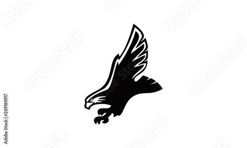 elegant eagle flying