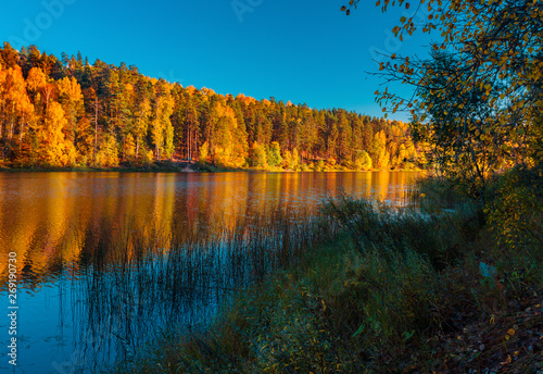 Silence at the forest lake at sunset, with reflection of sky and forest on a water smooth surface, Russia, Mari El