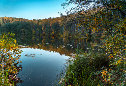Silence at the forest lake at sunset, with reflection of forest on a water smooth surface, Russia, Mari El