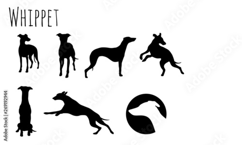 Whippet Icon 