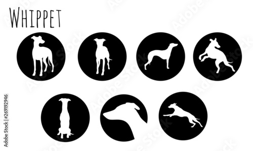 Whippet Icon 