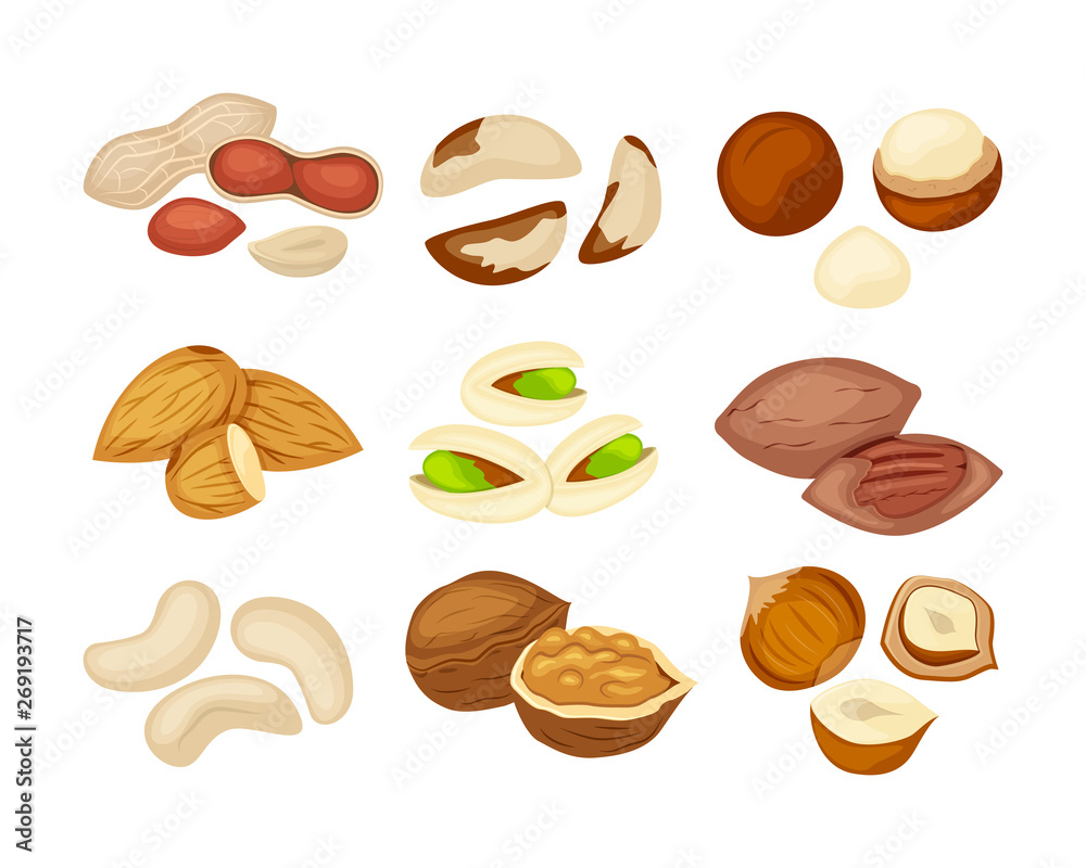 Set of different kindof nuts almond, walnut, kashew, pecan, peanut, pistachio, macadamia,brazil nut, hazelnut. Set of different kindof nuts almond, walnut, kashew, pecan, peanut, pistachio, macadamia,brazil nut, hazelnut.