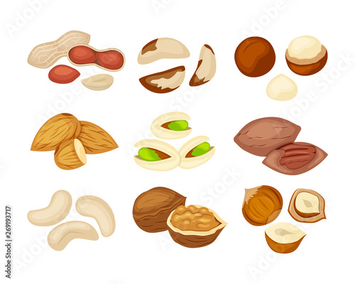 Set of different kindof nuts almond, walnut, kashew, pecan, peanut, pistachio, macadamia,brazil nut, hazelnut.