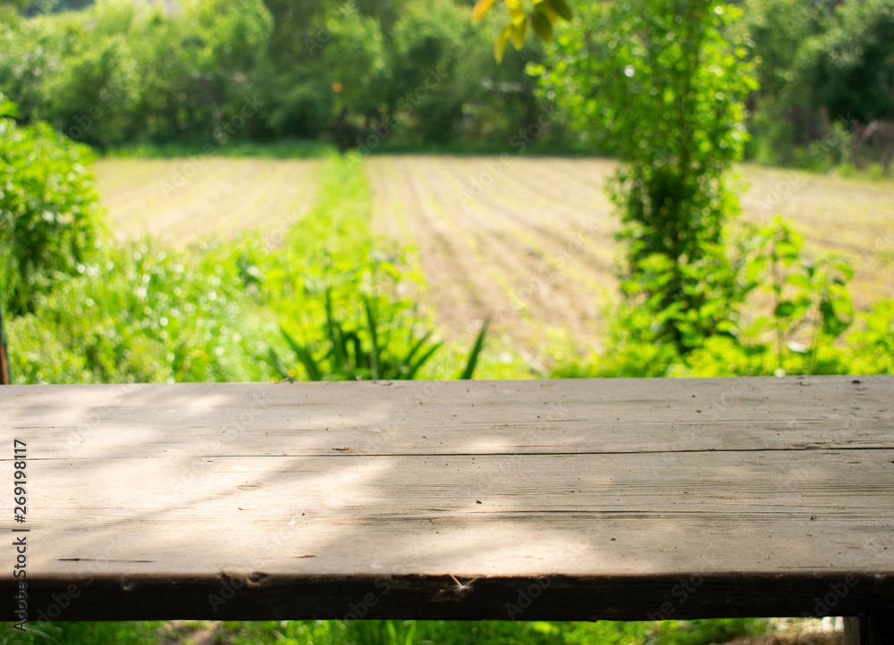 wooden table on blurred background of nature of forest and park wooden table on blurred background of nature of forest and park