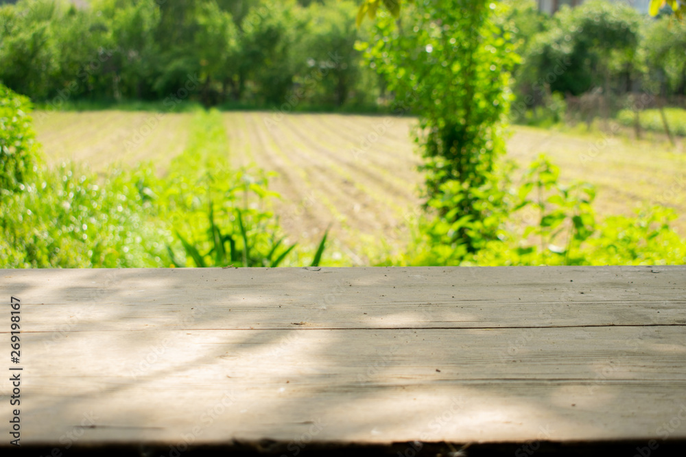 wooden table on blurred background of nature of forest and park wooden table on blurred background of nature of forest and park