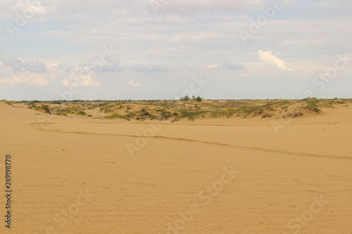 Sand dunes and dry grass, white clouds on a bright blue sky.