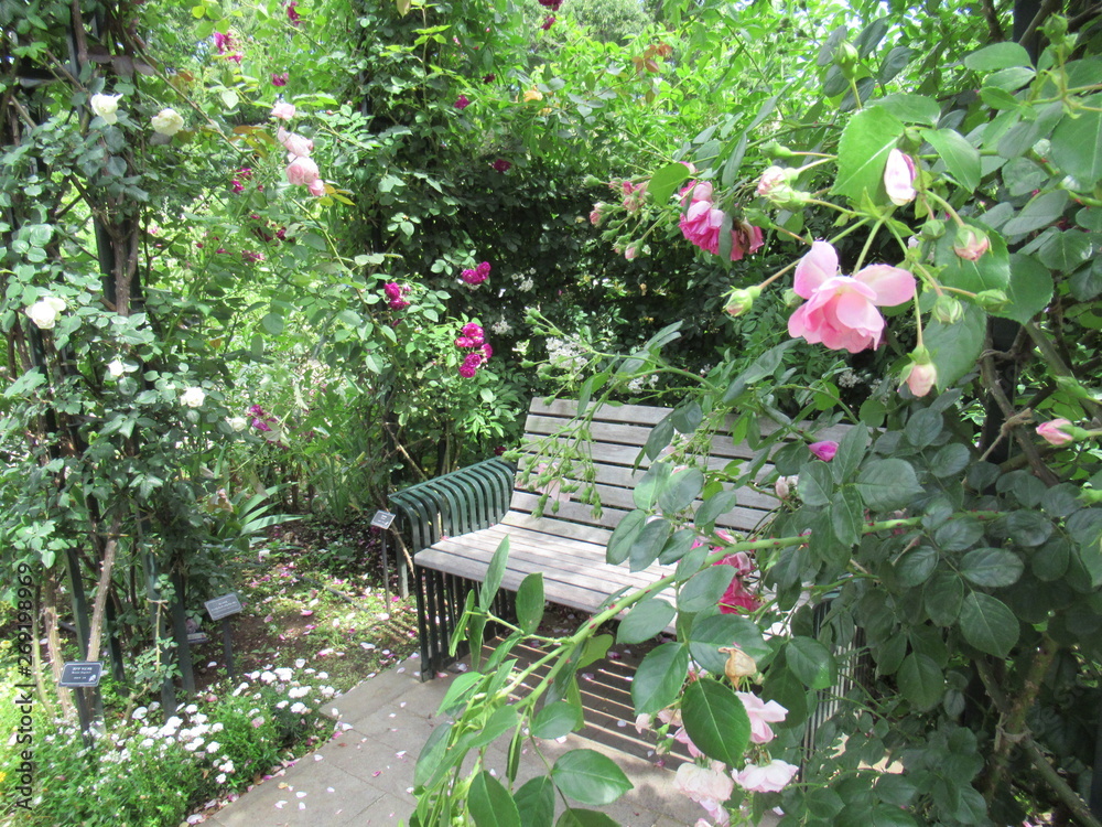 Garden Bench Garden Bench