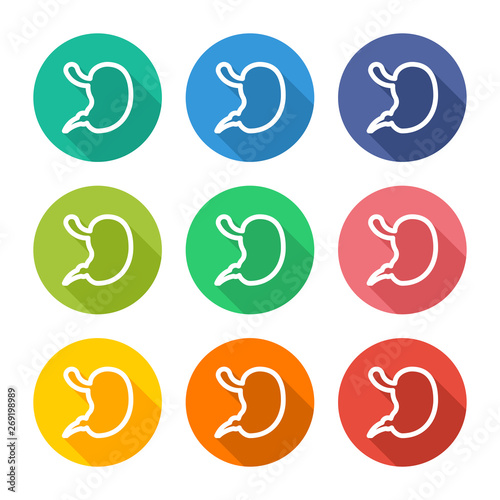 Illustration icon for gastric organs with several color alternatives