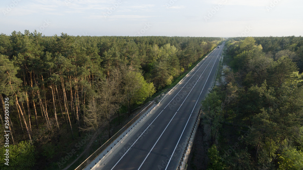 View from the height of the green forest and the road