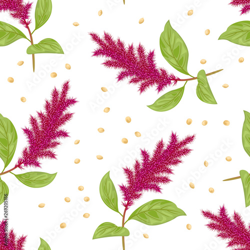 Amaranth plant and seeds seamless pattern on white background. Vector illustration of blooming purple pigweed with green leaves and grains in cartoon flat style.