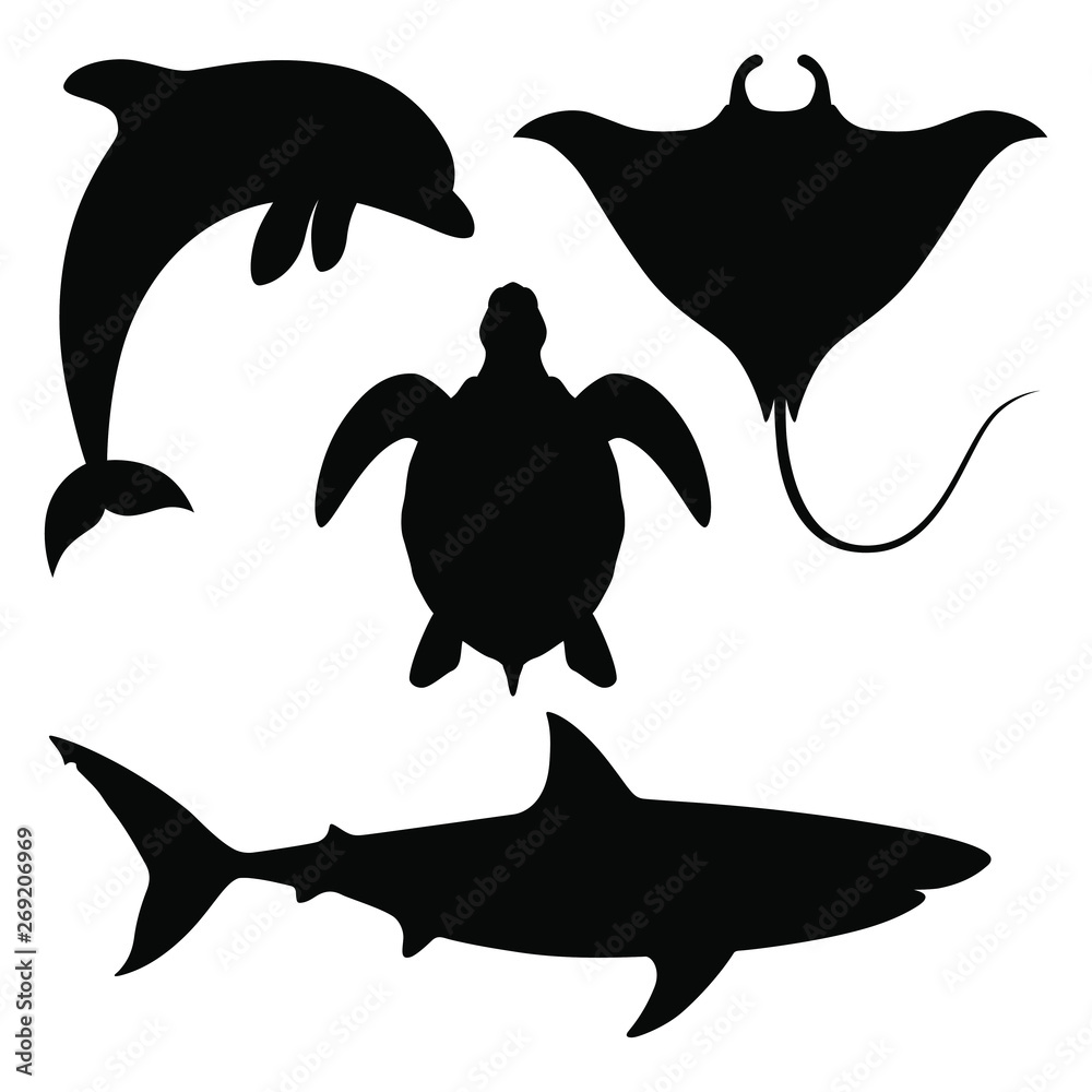 Sea animals set Icons. Black silhouettes dolphin, shark, turtle and manta  ray isolated on white background. Sea life symbols. Vector illustration  Stock Vector | Adobe Stock