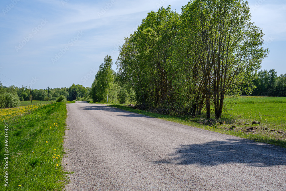 dirty gravel countryside gravel road in summer dirty gravel countryside gravel road in summer