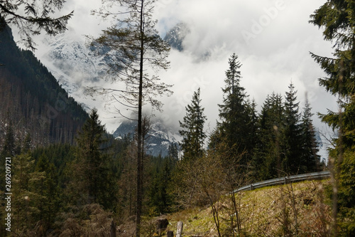 Fototapeta Naklejka Na Ścianę i Meble -  mountains in the Tatra Mountains