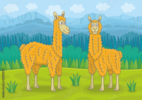 Two llamas in mountain meadow. Funny cartoon and vector illustration
