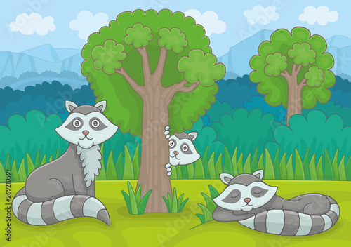 Three raccoons in forest. Funny cartoon and vector illustration