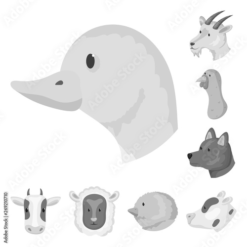 Vector design of countryside and homestead logo. Collection of countryside and breeding stock vector illustration.