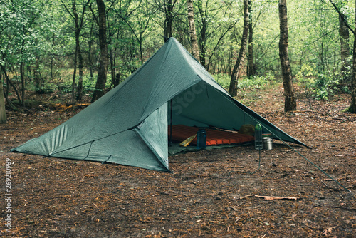 Green tent in forest in spring.