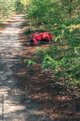 Red backpack lies at footpath in sunny forest.