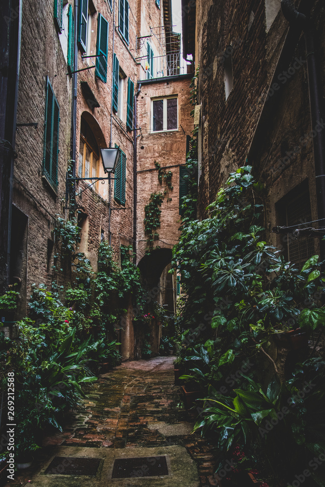 Vicolo degli orefici . Siena, Tuscany, Italy.