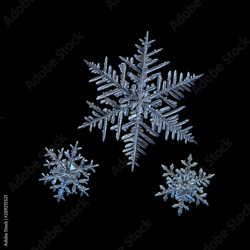 Konstfotografi Three snowflakes isolated on black background