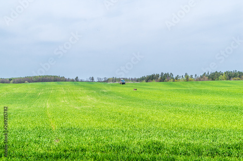 Traktor pracujący na polu