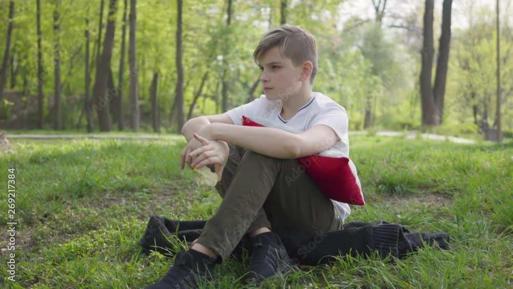 Portrait young little boy sitting with pillow in the green park and eating an apple outdoors. Outdoor recreation. Portrait young little boy sitting with pillow in the green park and eating an apple outdoors. Outdoor recreation.