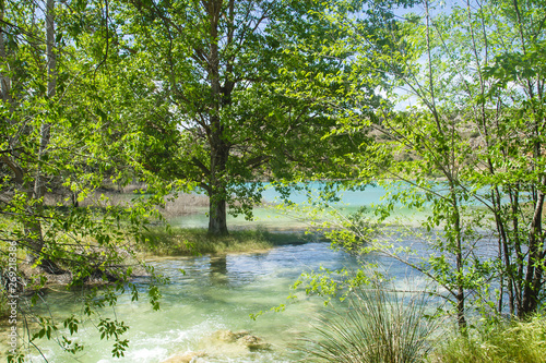 Green landscape in Lagunas de Ruidera Natural Park in Spain