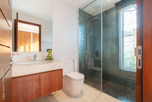 Luxury bathroom features basin, toilet bowl