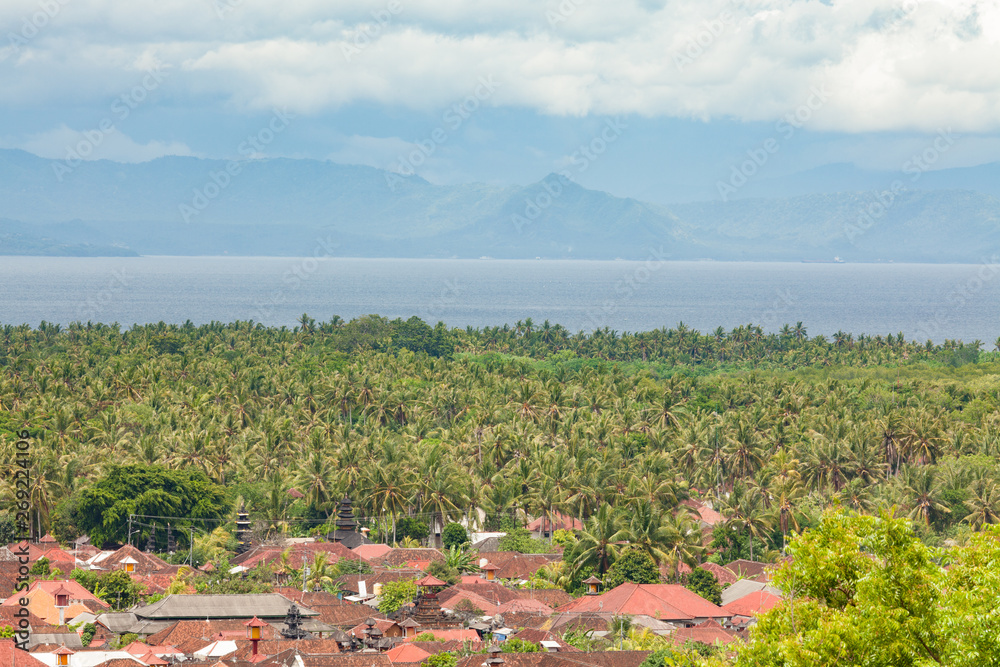 Village and forest in nusa lembongan Indonesia