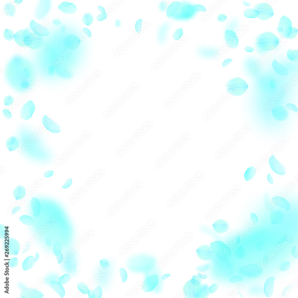 Turquoise flower petals falling down. Noteworthy romantic flowers vignette. Flying petal on white square background. Love, romance concept. Cute wedding invitation. Turquoise flower petals falling down. Noteworthy romantic flowers vignette. Flying petal on white square background. Love, romance concept. Cute wedding invitation.