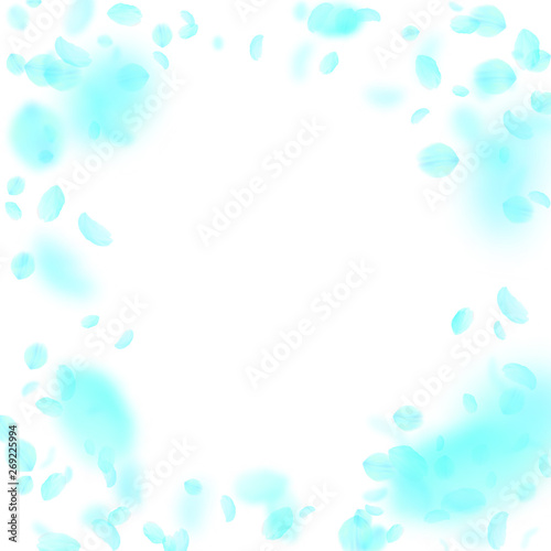 Turquoise flower petals falling down. Noteworthy romantic flowers vignette. Flying petal on white square background. Love, romance concept. Cute wedding invitation.