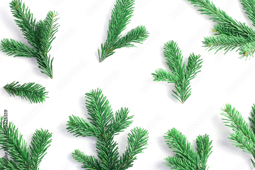 pattern of green fresh spruce branches on a white background. New Year's concept, flat lay.