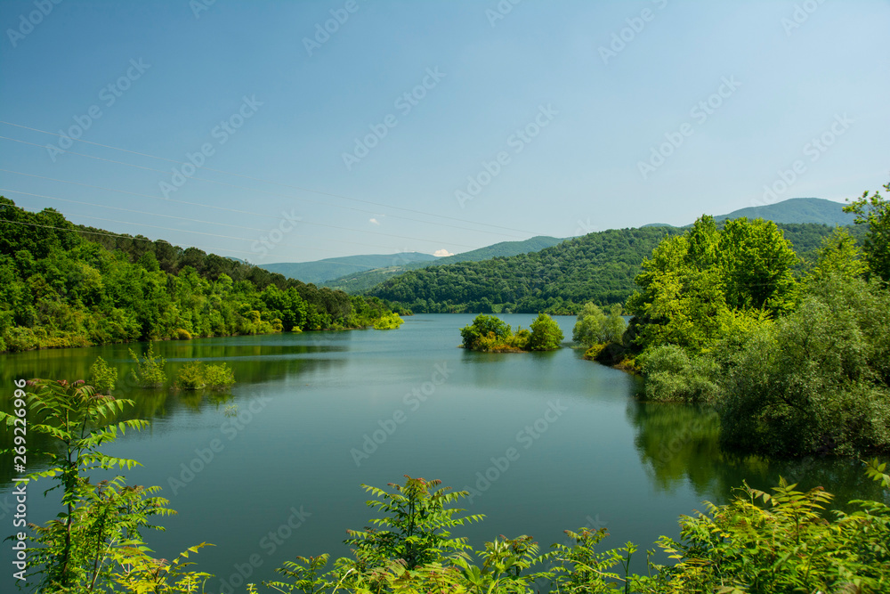 lake in deep forest