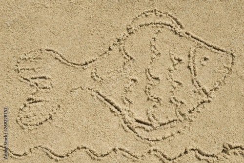 fish symbol written on sand