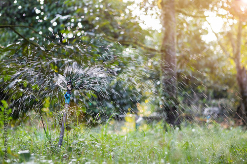 Springkle watering fruit garden with warming morning light, farming in Thailand, tropical garden photo